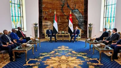 الدور المصري في الحرب السودانية: حسابات الأمن القومي وتأثير الدعم العسكري على إطالة أمد الصراع