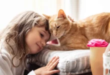 تربية الحيوانات في المنزل.. كيف تؤثر القطط والكلاب في الأطفال؟