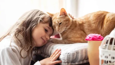 تربية الحيوانات في المنزل.. كيف تؤثر القطط والكلاب في الأطفال؟
