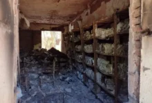 أسرار الغرف المغلقة في السودان: وثائق الكيميائي المسربة ومخطط استئصال الحركات المسلحة من مشهد السلطة